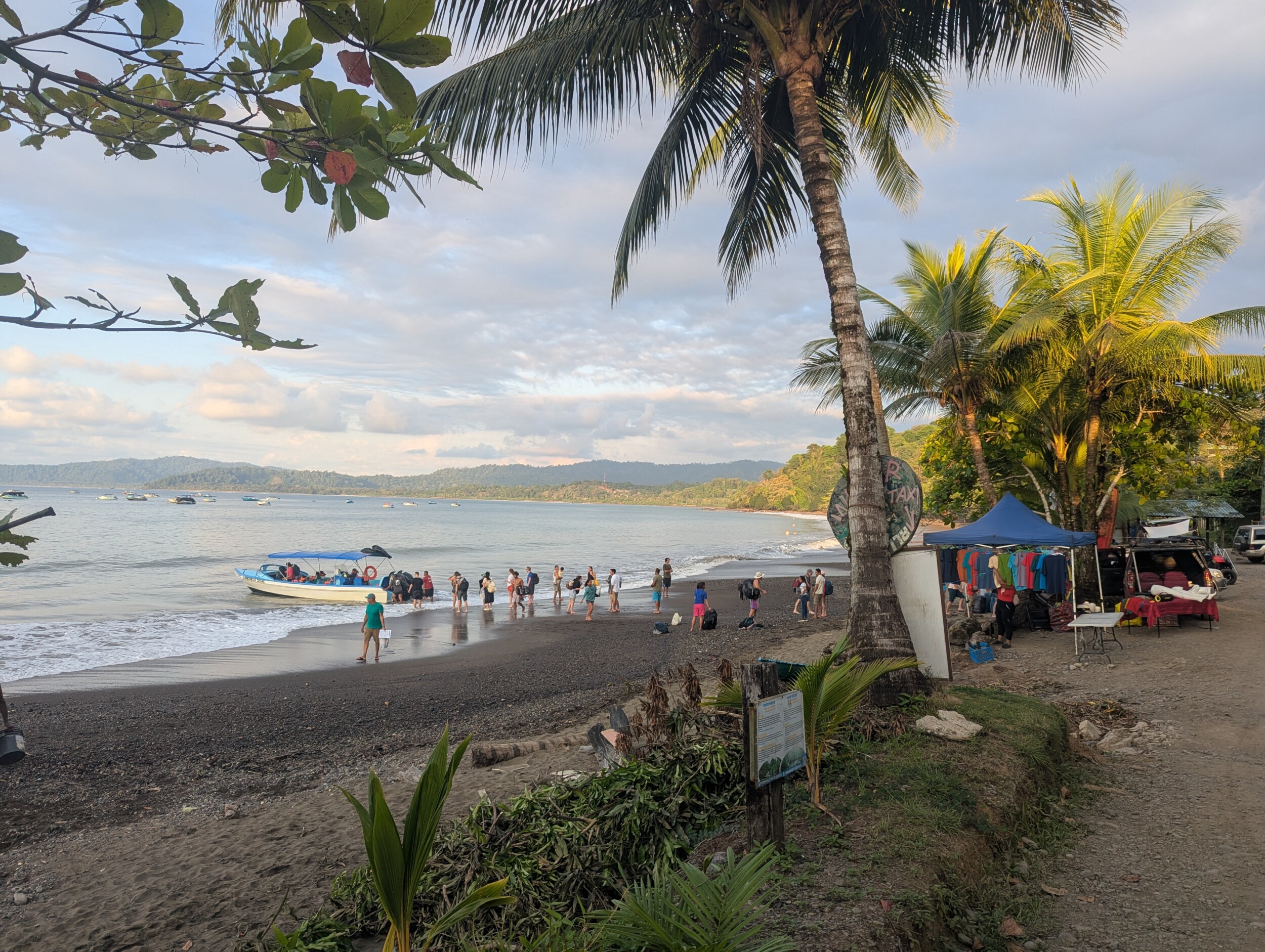 Drake Bay en Corcovado National Park: Snorkelen, Wandelen en Kikkers Spotten in Costa Rica's Wildste Hoek