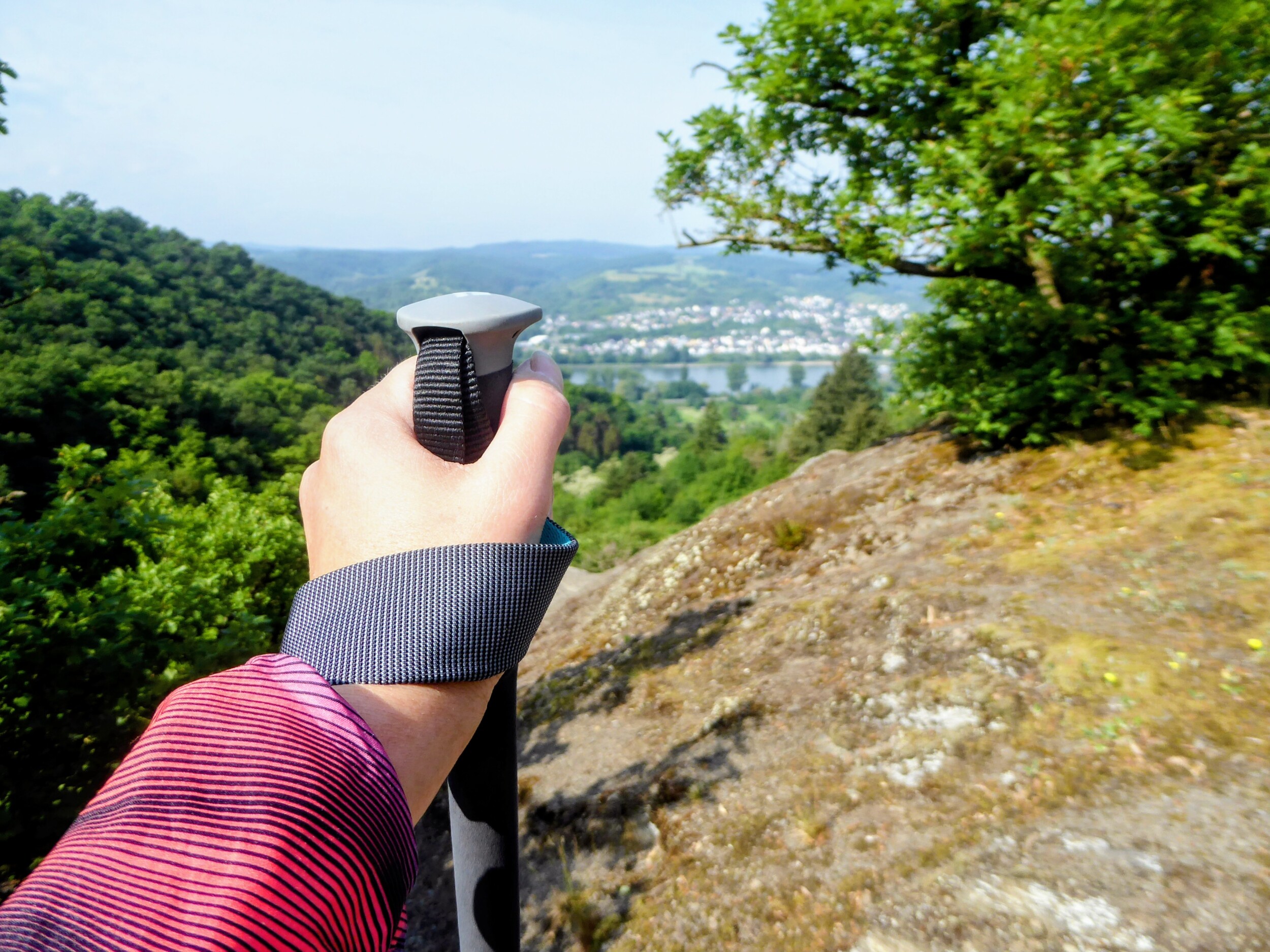 Rheinsteig wandelreis - Zinvol Reizen