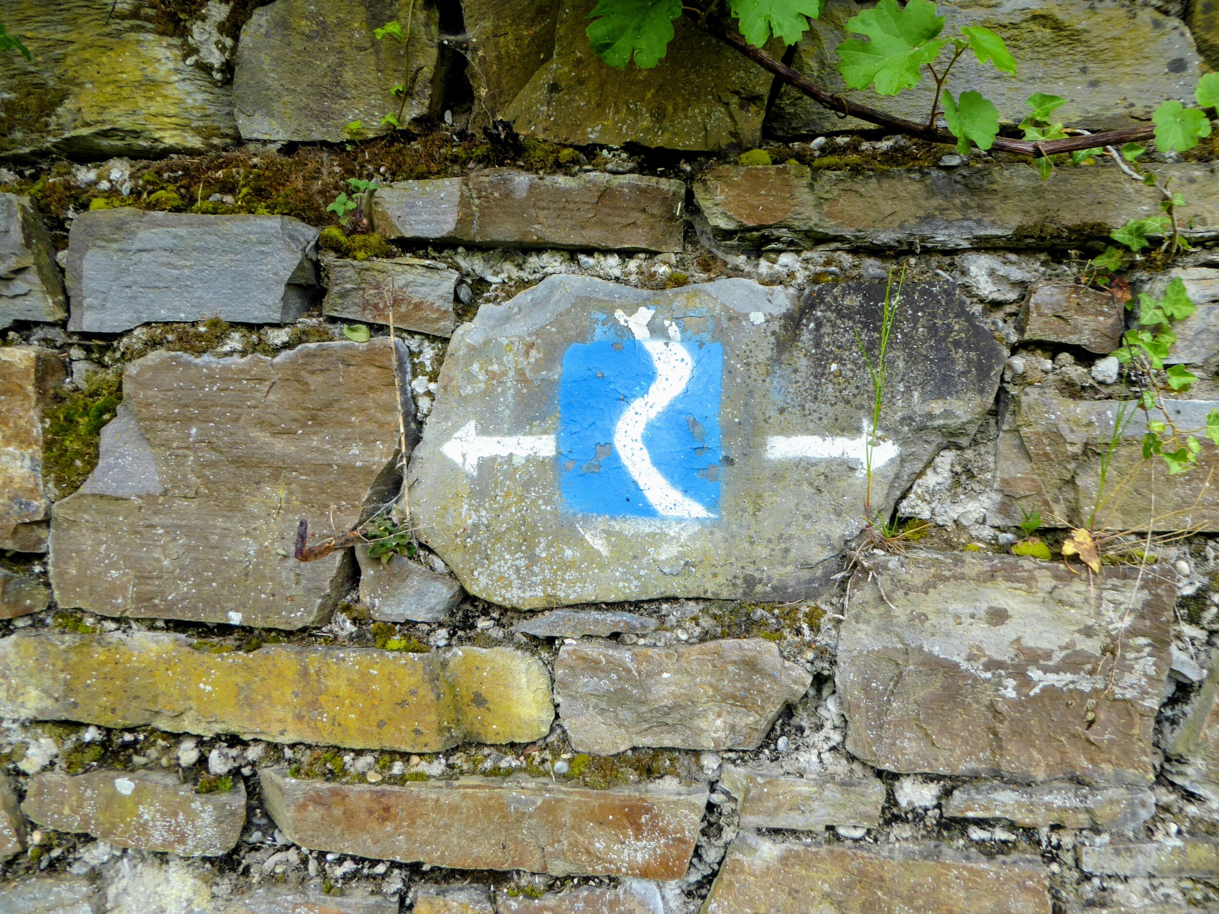 De Rheinsteig  wandelreis - Zinvol Reizen