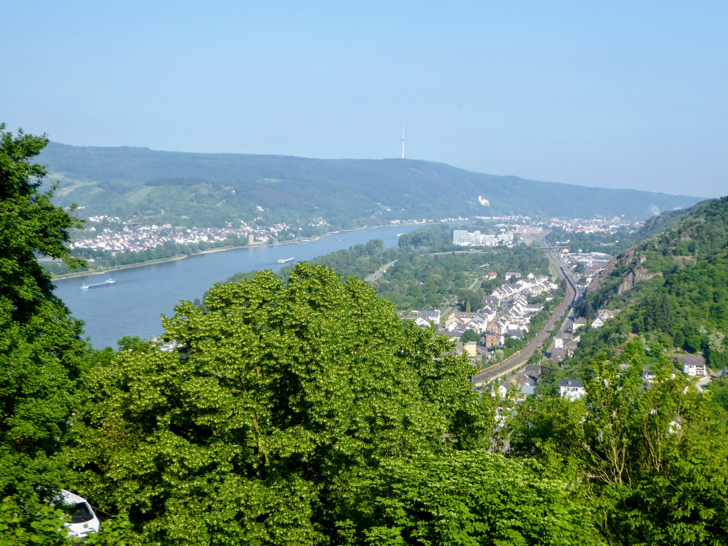 Rheinsteig wandelreis -  Zinvol Reizen