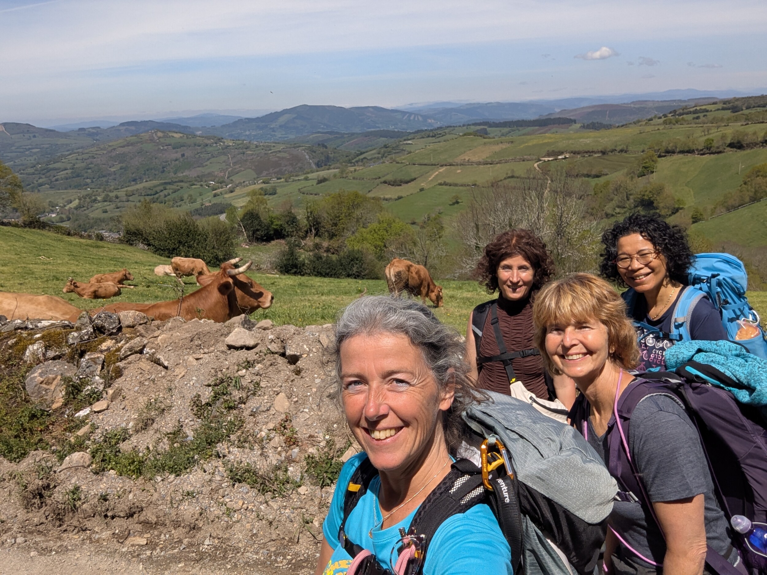 Camino Frances Reizen in kleine Groep