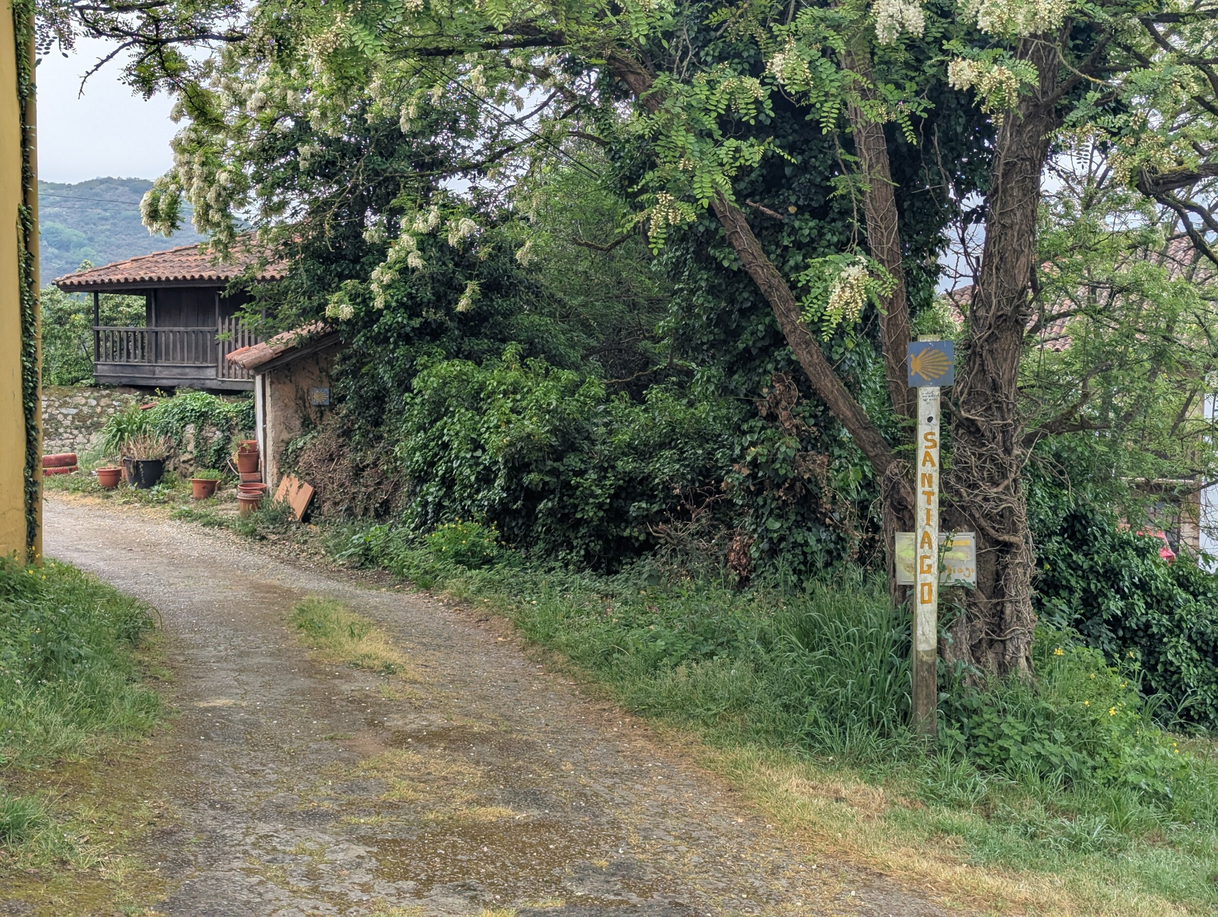 Alles over de Camino Primitivo