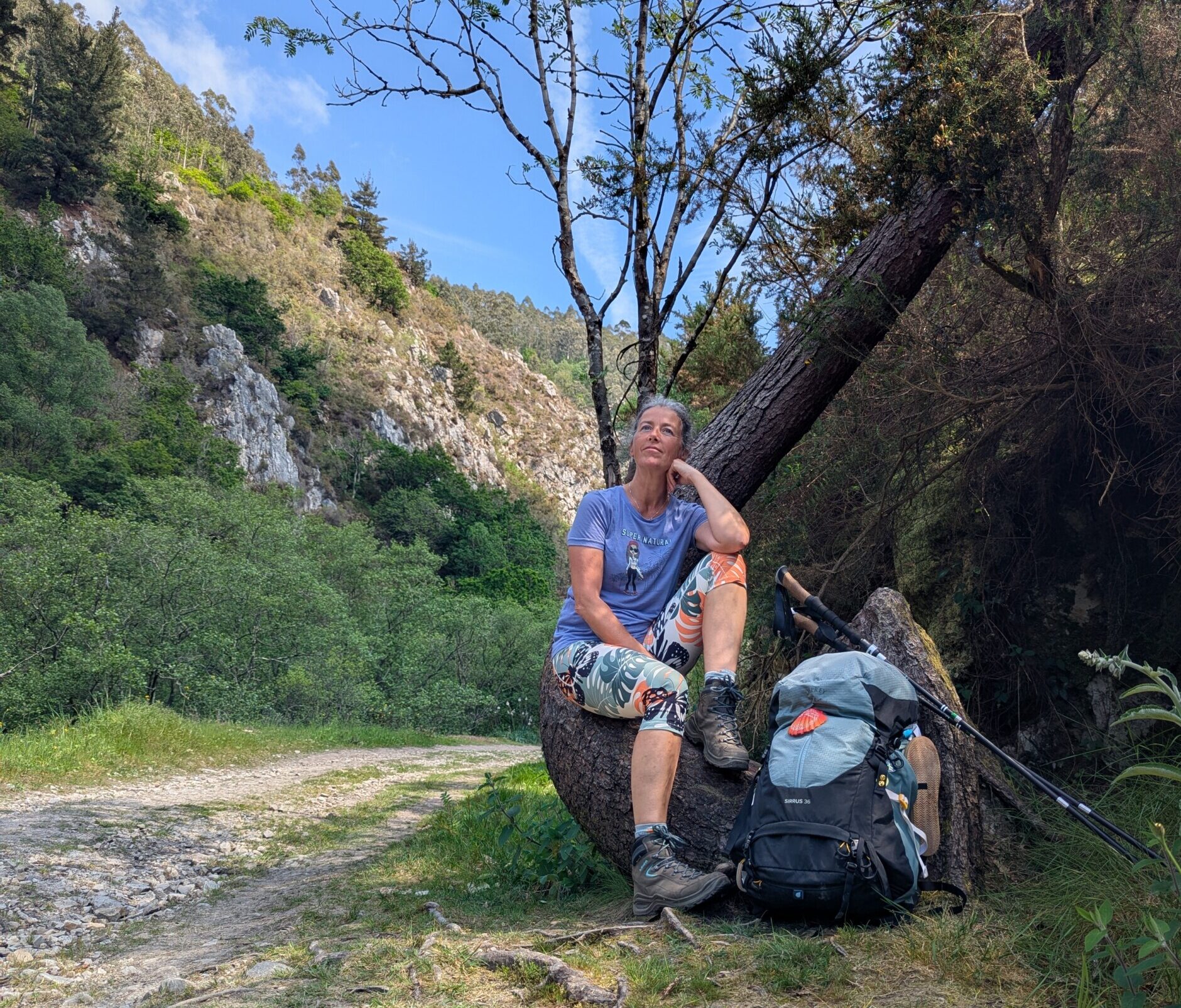 Alles over de Camino Primitivo