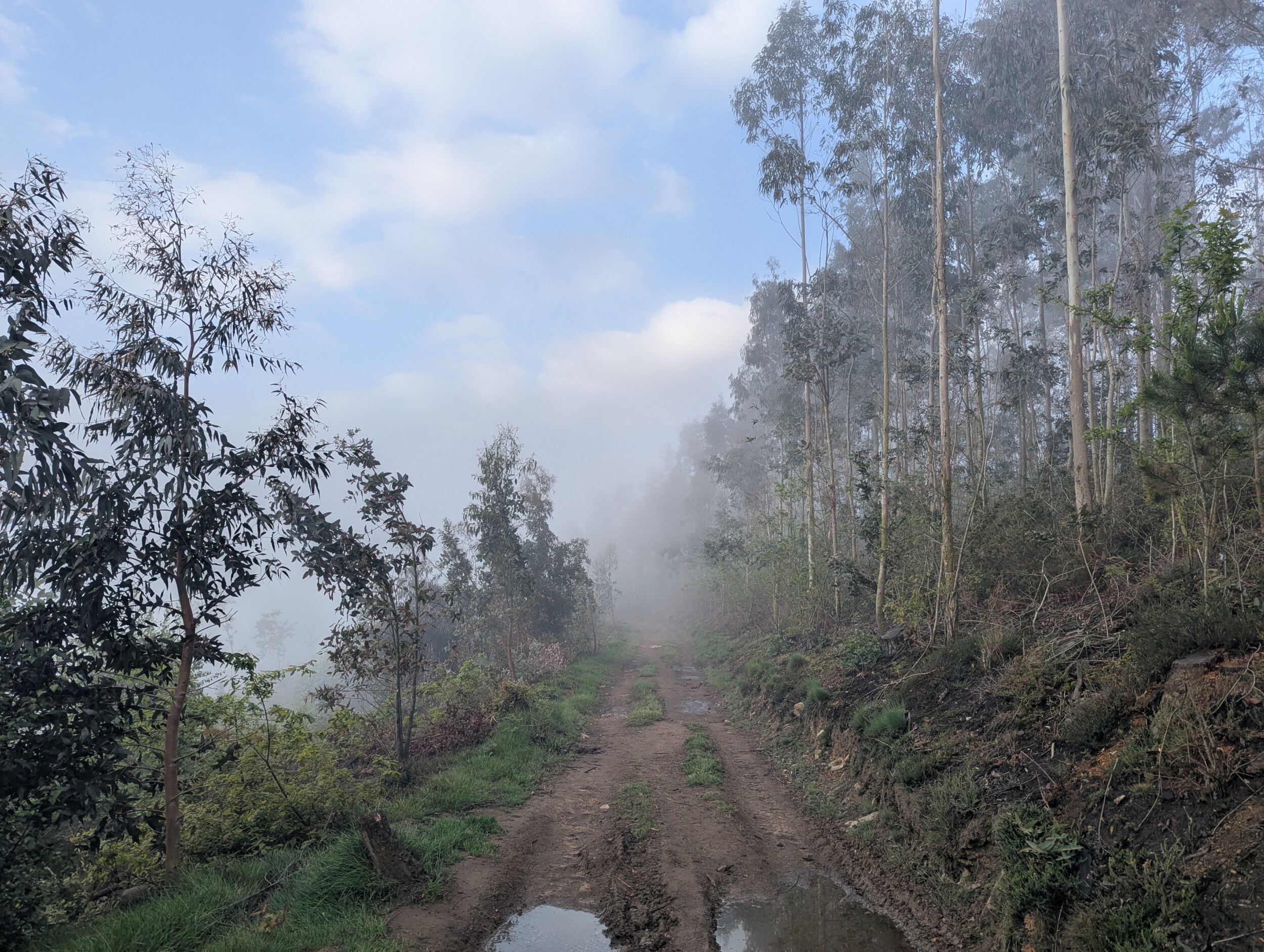 Alles over de Camino Primitivo