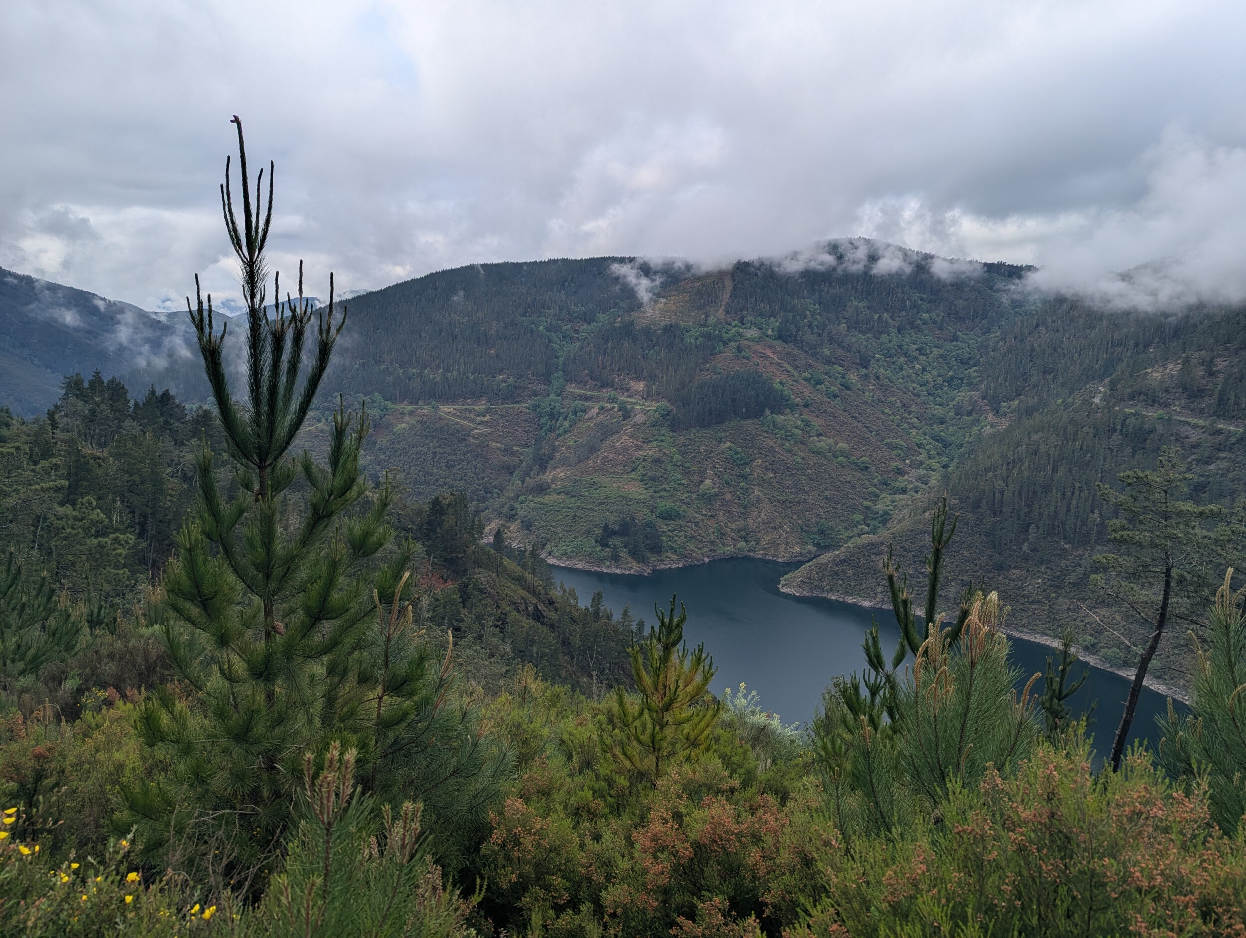 De prachtige oever op de Camino Primitivo