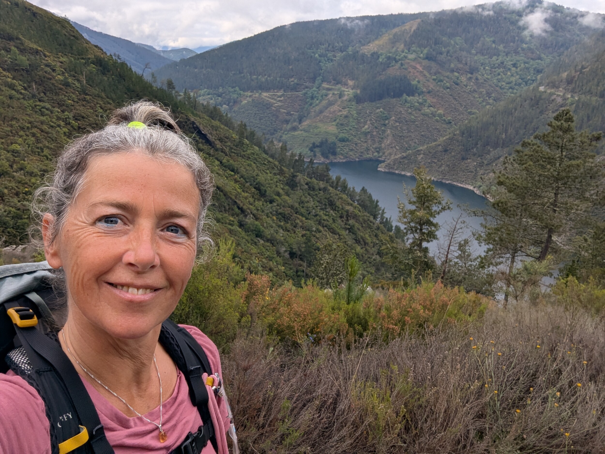 Alles over de Camino Primitivo