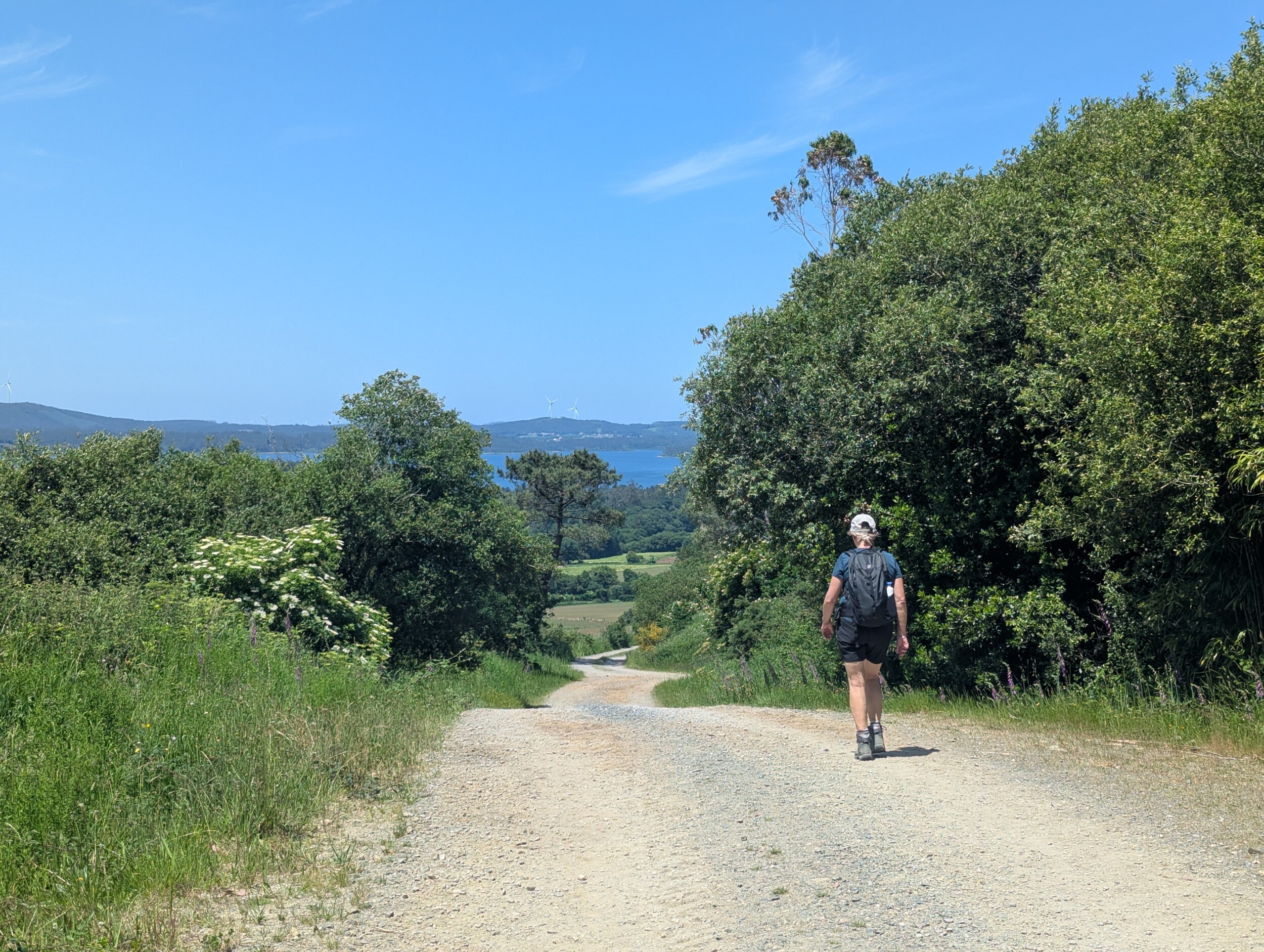 Alles over de camino finisterre - Spanje