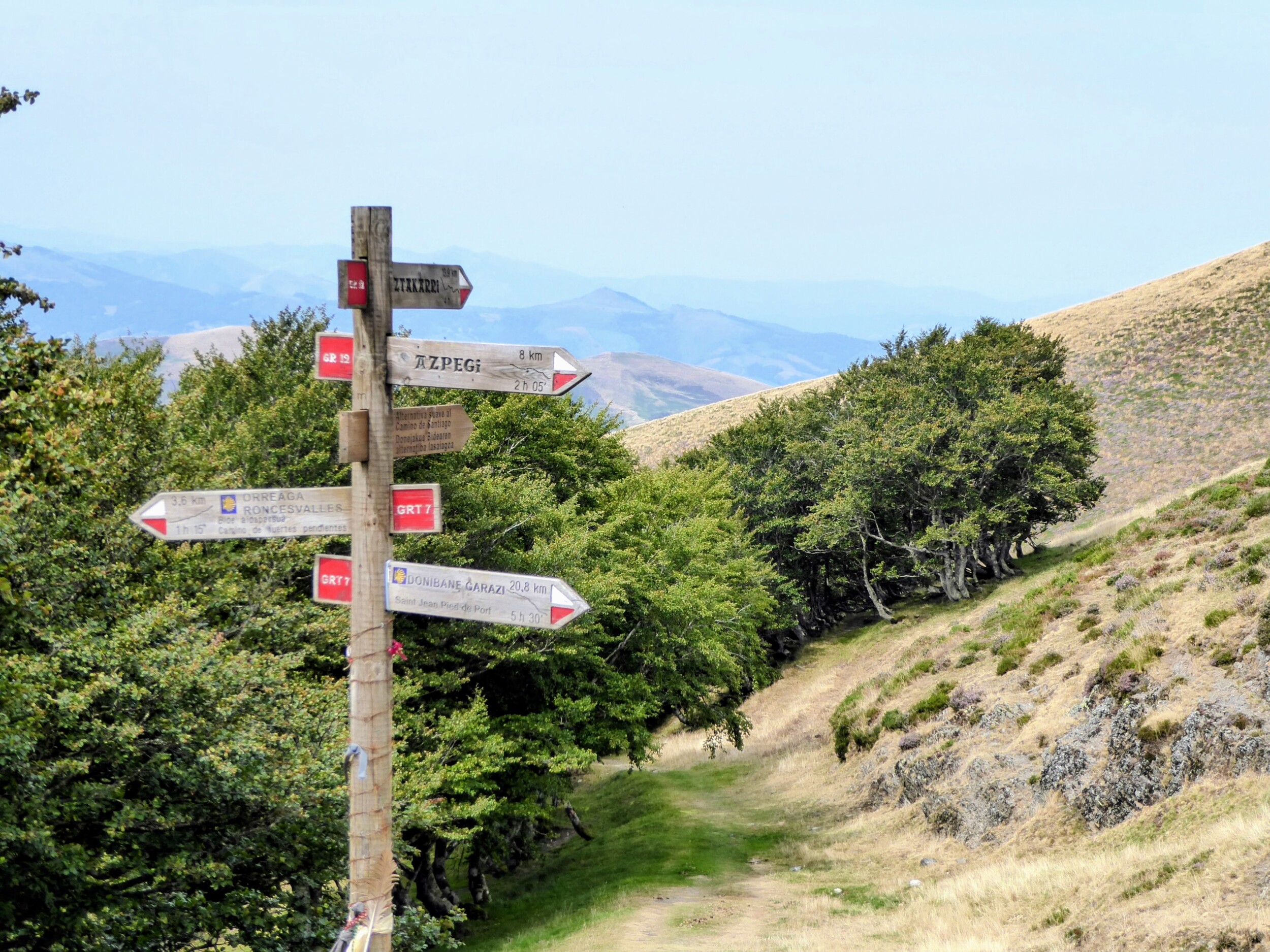 Camino Frances - wanneer loop jij?