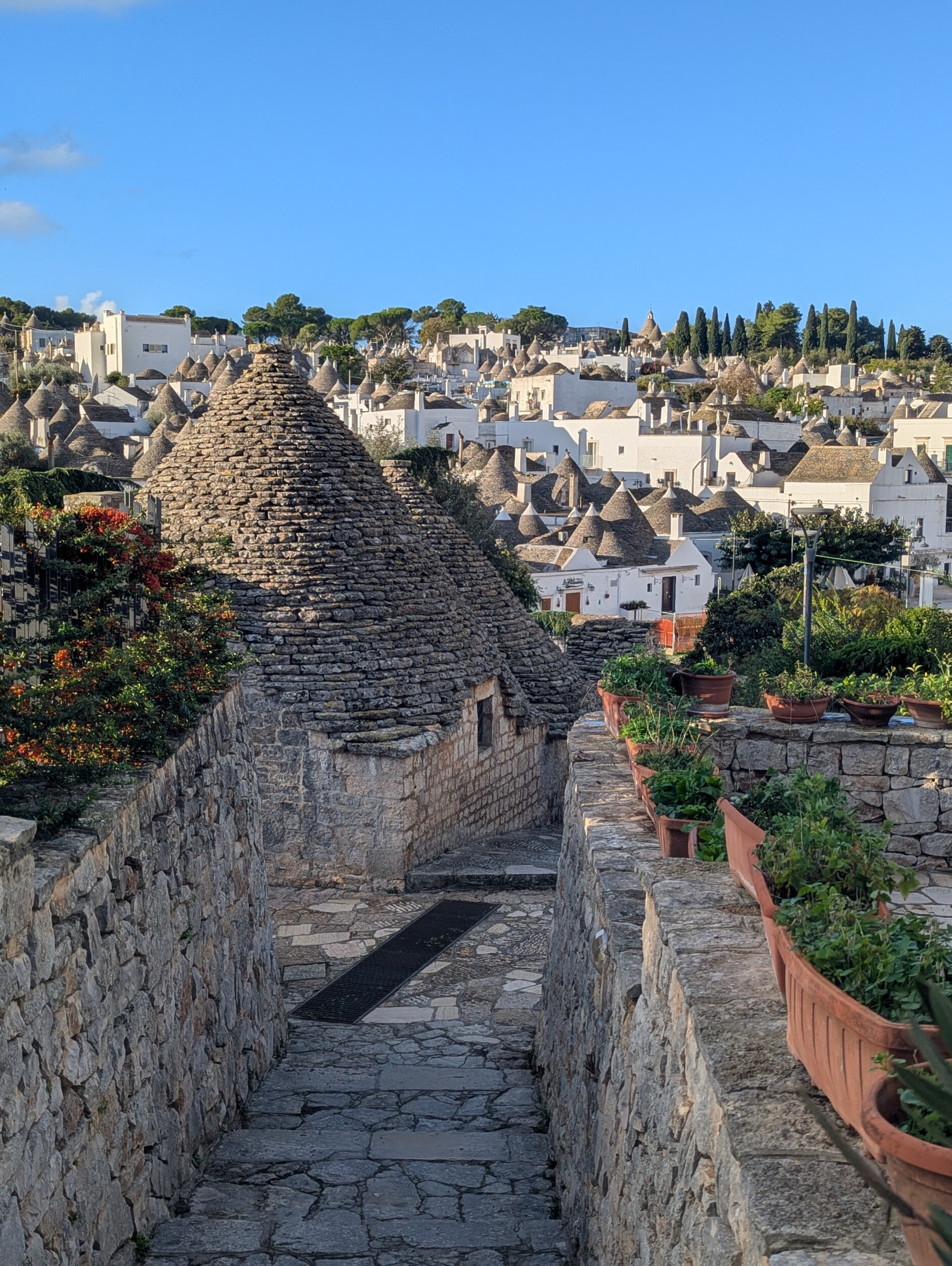 Belvedere met zicht op een zee van trulli - Alberobello wat te doen