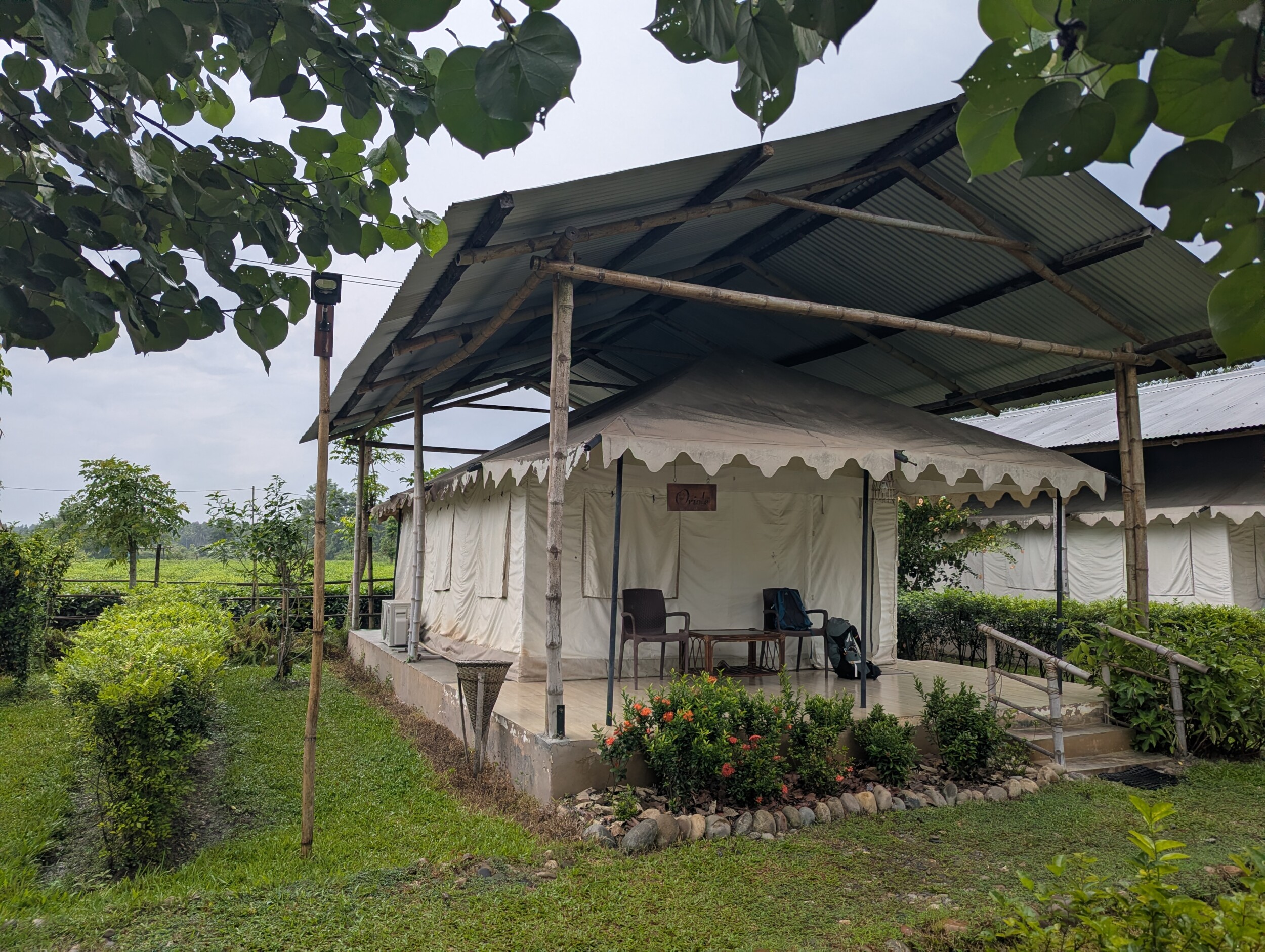 In safari tent in Assam - Noordoost India